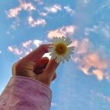 ✨️ دل نوشتـہ ✨️