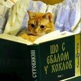 Записки добровольцев [Пидорятник]