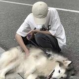 轩轩租苹果ID