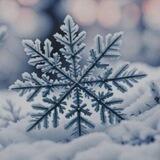 ⚡❄️🌨️☃️گروه چتکده پزشکی⛄🌨️❄️🌈