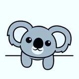 Coalla.slippers🐨