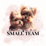 Small Team