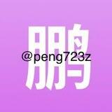 鹏老板ql25