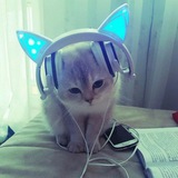 Штаб IP