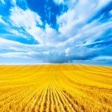 Перемога🇺🇦online