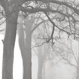 ‘Immortal Lost–Soul
