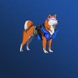 Shib Freedom Portal