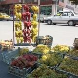 عرضه مستقیم نارنگی و پرتقال از باغ