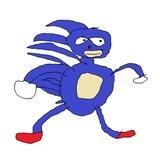 Sanic Portal