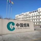 小林 香烟 电子烟 通知频道
