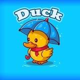 DuckCoin