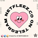 netfleez.co