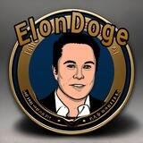 Elon Doge