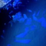 WSL