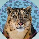 🐾 Ассоциация «Ирбис»