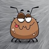 DogTick Portal