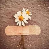 سَـــــلَام | Peace 🩷🦋.