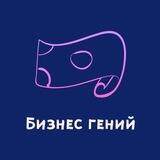 Бизнес гений стартапов