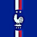 🇨🇵𝑭𝒓𝒂𝒏𝒄𝒆 𝑭𝒐𝒐𝒕𝒃𝒂𝒍𝒍 |🐓| فوتبال فرانسه🇫🇷
