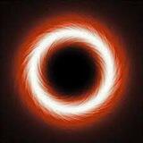 Fine Army | Portal