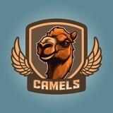Camels Racing Portal $CAMELS