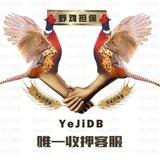 辰辰钉钉拉手