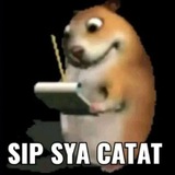 TESTI @SSULE @SATSETT