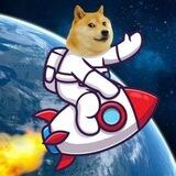 Doge Mooner-bsc ||Portal