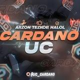 CARDANO CHAT