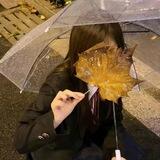 小花🌸QL单价20