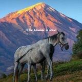 زیبایی‌های ایران Iran beauties