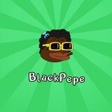 Portal Black PEPE 🐸⚫