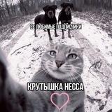 Уютный домик Нессы.
