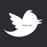 Twiter Gap