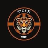 Xrp Tiger