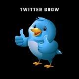 Twitter Grow