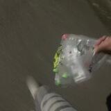 猴子结账频道