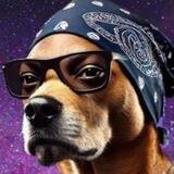 Snoopz The Doggy Dog