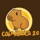 CAPYBARA 2.0 | BSC