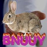 weird animals
