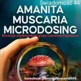 Amanita Muscaria recenzje mikrodozowania🇵🇱