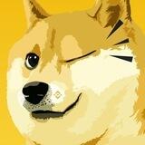 YoungDogecoinBSC_Portal