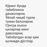 Jigar tozalov tartibi qoidalari