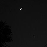 Eve