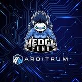 Hedge Fund 💙🧡 - Launch soon on Arbitrum