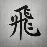 大飞群码