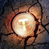 $UNSDT Official Portal