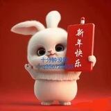 小马哥工作室