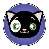 Zk Cat - ZK🐱 | Live on ZkSync