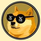 XPro Doge Erc